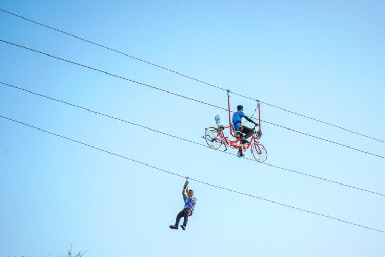 Zipline Adventure